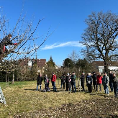 0690d43f 5437 4cd8 Aa46 A3ae17f011f0