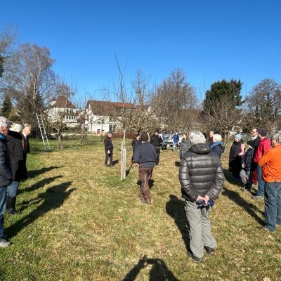 2f39d75c 4950 4e0e Bacd B4e62206aff9