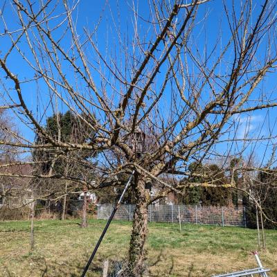 C41c428e 9180 44cc A935 679096f46662