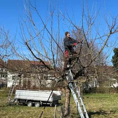 C41dacad C895 4992 8b08 F3a24d8c4c21