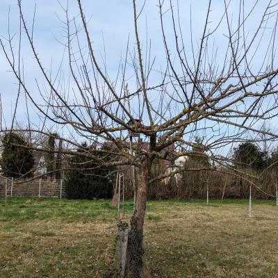 Dd3f3dd1 1559 426d 9cef 27ea77d6f659