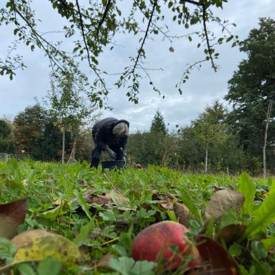 Photo 2025 10 04 12 13 52