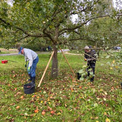 Photo 2025 10 04 12 13 58 2