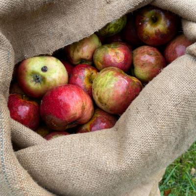 Photo 2025 10 04 12 13 58